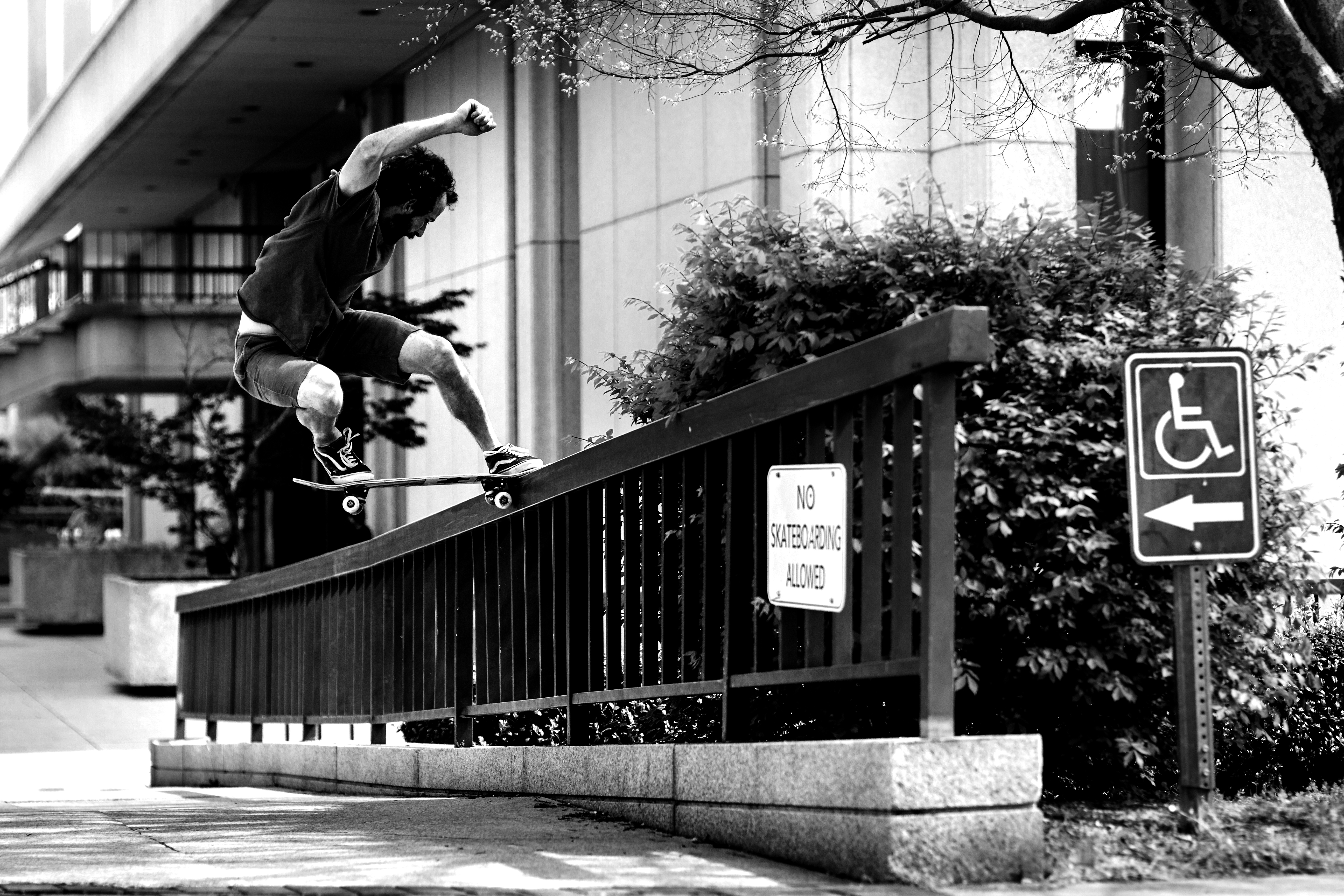 col - shane kassin - front nose courthouse high rail 02 - durham nc