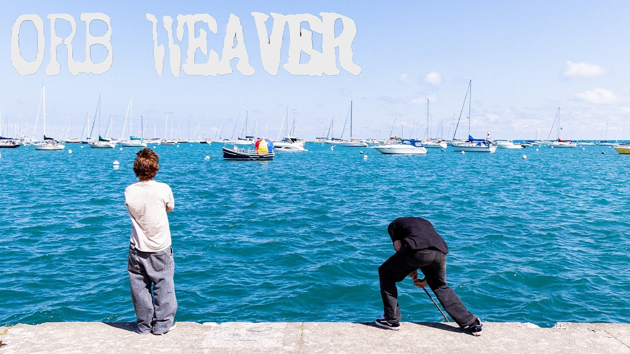 Orb Weaver by Apartment Skateboards